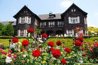 写真:旧古河庭園(バラ)