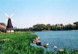 写真:都立浮間公園