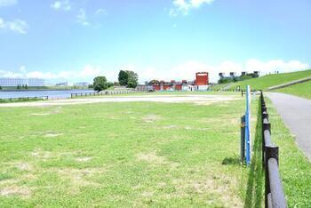 写真:荒川岩淵関緑地