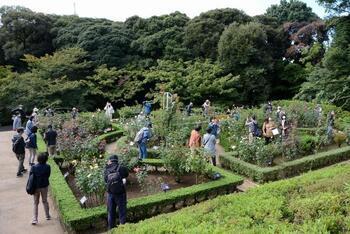 写真:旧古河庭園