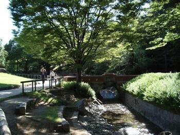 写真:清水坂公園
