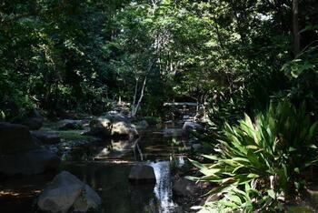 写真:名主の滝公園