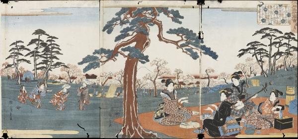 写真：江戸名所図会　飛鳥山