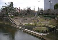 写真：音無もみじ緑地