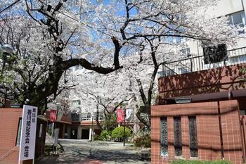 女子栄養大学の外観の写真