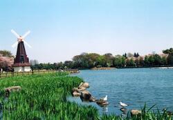 写真:都立浮間公園