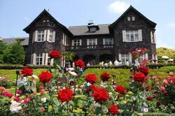 写真:旧古河庭園