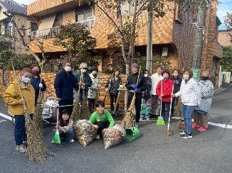 サクラナミキセイソウ