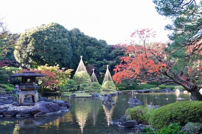 写真：庭園の湖岸から望む風景