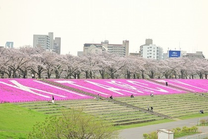 新荒川大橋からの景観（4月10日撮影）の画像