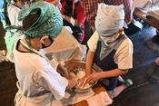 柏餅の生地をこねる子どもたち