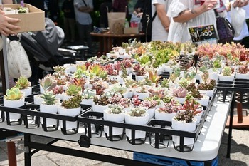 2024年の北区グリーンフェスタの様子