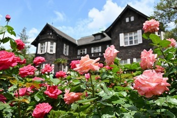 旧古河庭園画像