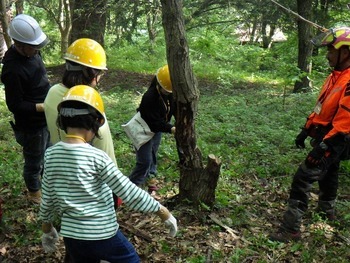 間伐体験の様子