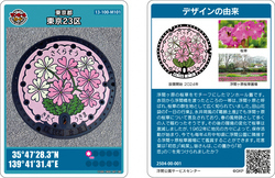 写真:浮間桜草マンホールカード写真