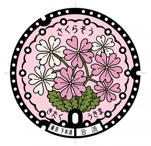 写真：デザインマンホール蓋　浮間桜草