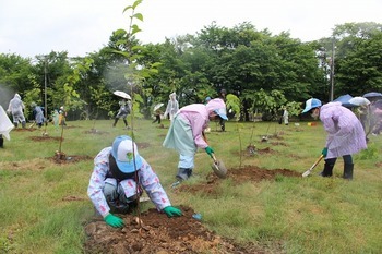植樹祭の様子　画像