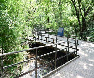 写真:赤羽自然観察公園