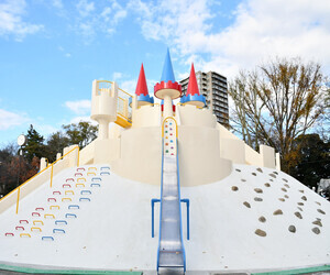 写真:飛鳥山公園