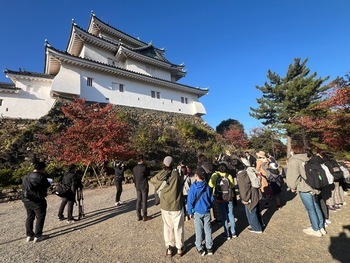 和歌山城見学の様子の画像