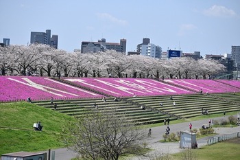4月3日に撮影した新荒川大橋からの景観の画像