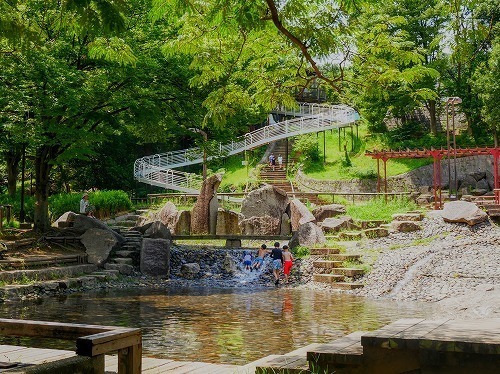 「夏の思い出」画像
